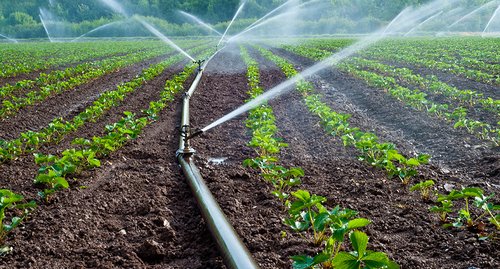 Irrigation and Operational Maintenance Course